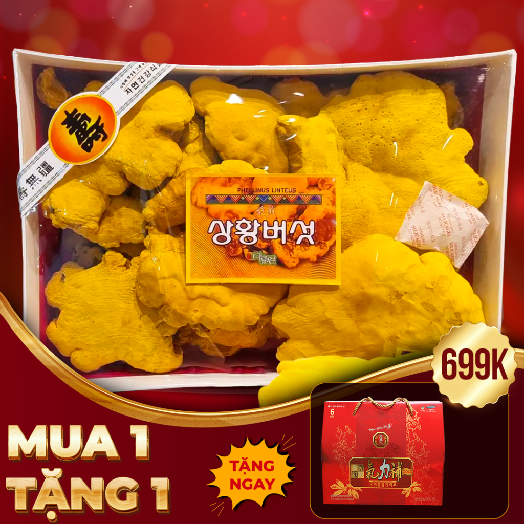 Nấm Linh Chi Thượng Hoàng Hàn Quốc Hộp 500g